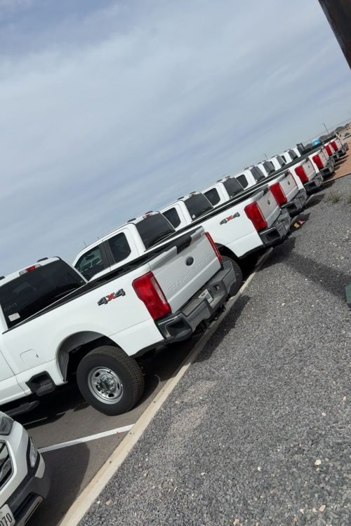 WhatsApp Image 2026-02-26 at 11.59.27 AM (1)